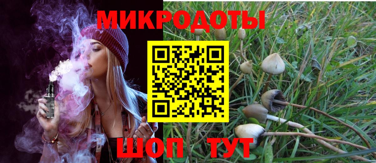 Псилоцибиновые грибы Psilocybe Горячий Ключ