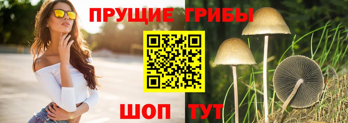 Псилоцибиновые грибы Psilocybe  Вход с VPN  Горячий Ключ  Галлюциногенные грибы мицелий 